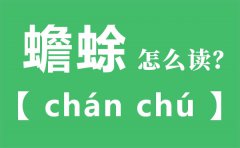 蟾蜍怎么读_蟾蜍念什么_蟾蜍的拼音