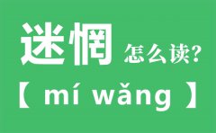 迷惘怎么读_迷惘的拼音_迷惘是什么意思