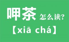 呷茶怎么读_呷茶的拼音_呷茶是什么意思