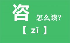 咨怎么读_咨的拼音_咨文是什么意思?