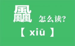 飍怎么读_三个風念什么_飍字的拼音_飍字是什么意思