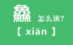 鱻怎么读_三个鱼念什么_鱻的拼音_鱻字是什么意思