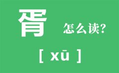 胥怎么读_胥的拼音_胥有什么含义