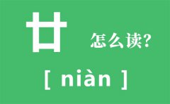 廿怎么读_廿表示多少_廿是什么意思