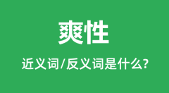 爽性的近义词和反义词是什么_爽性是什么意思?