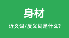身材的近义词和反义词是什么_身材是什么意思?