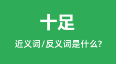 十足的近义词和反义词是什么_十足是什么意思?