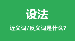 设法的近义词和反义词是什么_设法是什么意思?