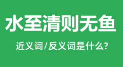 水至清则无鱼的近义词和反义词是什么_水至清则无鱼是什么意思?