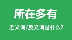 所在多有的近义词和反义词是什么_所在多有是什么意思?