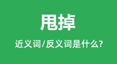 甩掉的近义词和反义词是什么_甩掉是什么意思?