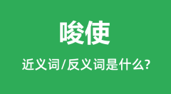 唆使的近义词和反义词是什么_唆使是什么意思?