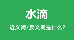 水滴的近义词和反义词是什么_水滴是什么意思?