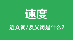 速度的近义词和反义词是什么_速度是什么意思？