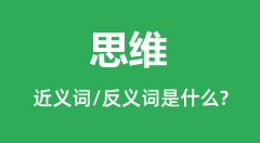 思维的近义词和反义词是什么_思维是什么意思?