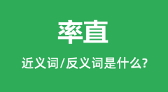 率直的近义词和反义词是什么_率直是什么意思?