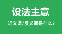 设法主意的近义词和反义词是什么_设法主意是什么意思?