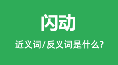 闪动的近义词和反义词是什么_闪动是什么意思?