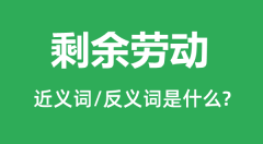 剩余劳动的近义词和反义词是什么_剩余劳动是什么意思?