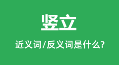竖立的近义词和反义词是什么_竖立是什么意思？