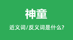 神童的近义词和反义词是什么_神童是什么意思?