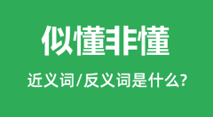 似懂非懂的近义词和反义词是什么_似懂非懂是什么意思?