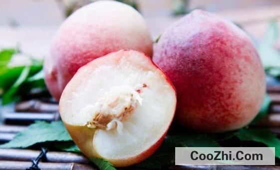 桃子的营养价值是什么