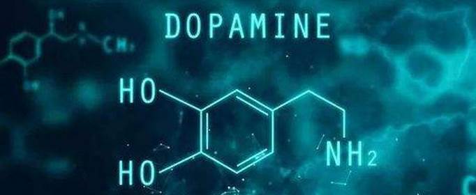 多巴胺的作用是什么？