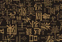 汉族最大的十个姓是什么？