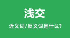 浅交的近义词和反义词是什么_浅交是什么意思?