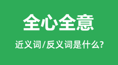 全心全意的近义词和反义词是什么_全心全意是什么意思?