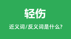 轻伤的近义词和反义词是什么_轻伤是什么意思?