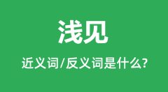 浅见的近义词和反义词是什么_浅见是什么意思?
