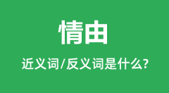情由的近义词和反义词是什么_情由是什么意思?