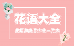 花语大全_各种花的花语和寓意大全一览表