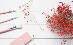 满天星的花语_满天星的寓意和象征是什么？