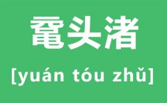 鼋头渚怎么读拼音是什么_无锡鼋头渚是什么地方？