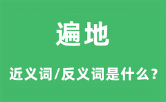遍地的近义词和反义词是什么_遍地是什么意思?