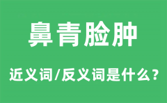 鼻青脸肿的近义词和反义词是什么_鼻青脸肿是什么意思?