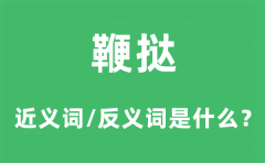鞭挞的近义词和反义词是什么_鞭挞是什么意思?