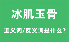 冰肌玉骨的近义词和反义词是什么_冰肌玉骨是什么意思?