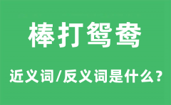 棒打鸳鸯的近义词和反义词是什么_棒打鸳鸯是什么意思?