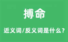 搏命的近义词和反义词是什么_搏命是什么意思?