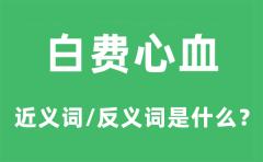 白费心血的近义词和反义词是什_白费心血是什么意思?
