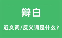 辩白的近义词和反义词是什么_辩白是什么意思?