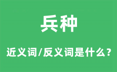兵种的近义词和反义词是什么_兵种是什么意思?