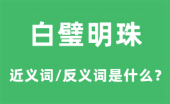 白璧明珠的近义词和反义词是什_白璧明珠是什么意思?