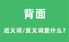 背面的近义词和反义词是什么_背面是什么意思?