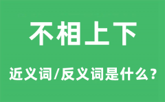 不相上下的近义词和反义词是什么_不相上下是什么意思?