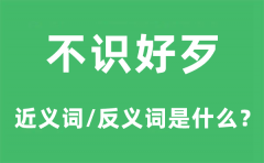 不识好歹的近义词和反义词是什么_不识好歹是什么意思?